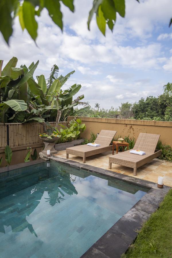 Umah Tikari Guesthouse Canggu  Exterior photo