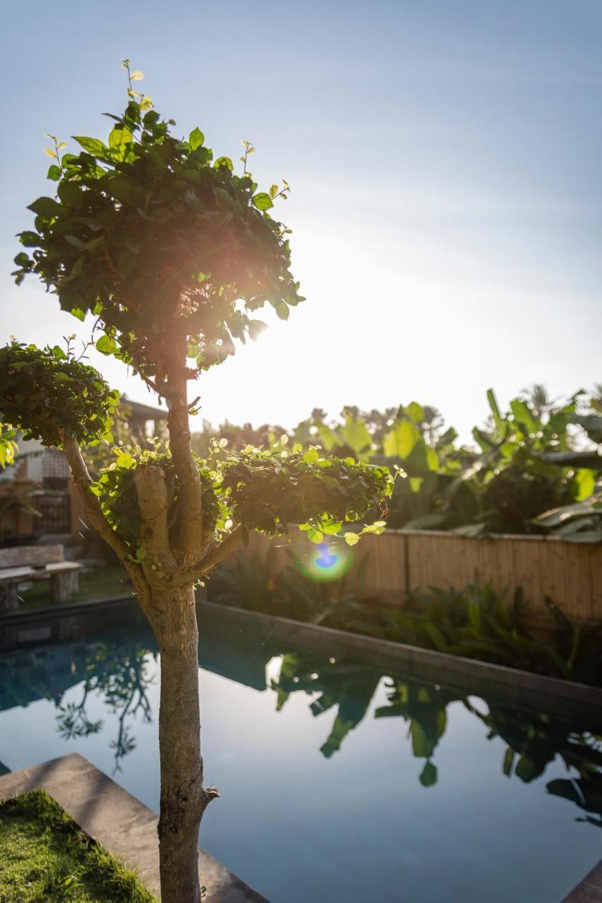 Umah Tikari Guesthouse Canggu  Exterior photo